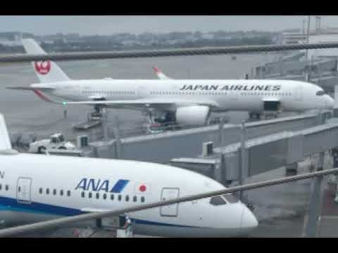 JALサブチャンネル和田さんによる機内アナウンス