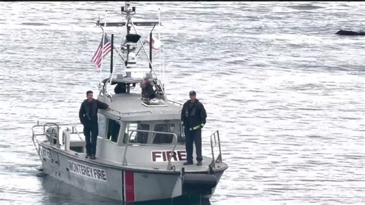 Swimmer who went missing at Lover’s Point in possible shark encounter identified
