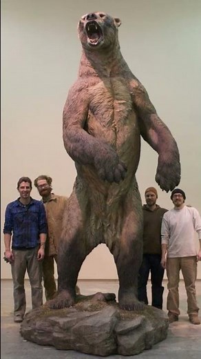 Short Faced Bear | North America's Largest Carnivorous Mammal