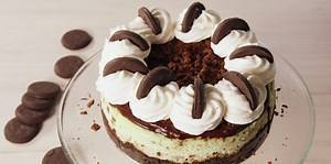 Thin Mint Lovers We Have The Cheesecak Of Your Dreams
