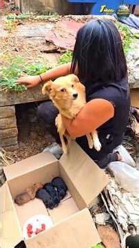 Animals That Were Saved From The Brink #animalrescue #emotional #survival