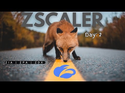Day 2: Zscaler Training | ZIA | ZPA | ZDX