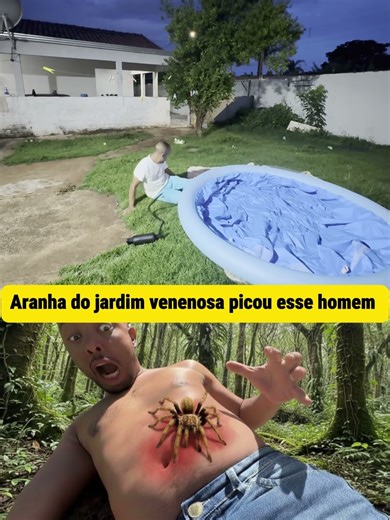 ARANHA DO JARDIM ATACA MORADOR