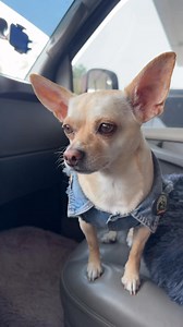 Until I get coffee I don’t give eeffoc 😂😂😂 | Damon Smith