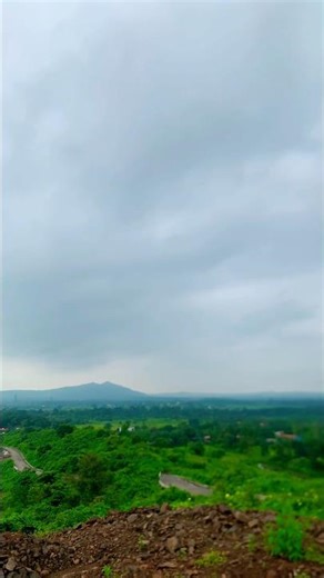 #birdtrend #birdtrend