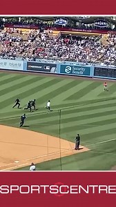 16K views · 74 reactions | The Blue Jays are rolling and have the wild card in their sights. Why Toronto fans should be optimistic about the rest of the season. | TSN | Facebook