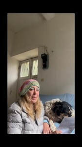 9.3K views · 379 reactions | It’s the first, weekly 2 Traveling Dogs...