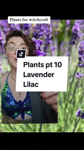 Celebrating Samhain: Embrace the Magic of Plants