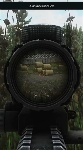 Needle in the haystack - Escape From Tarkov Clips