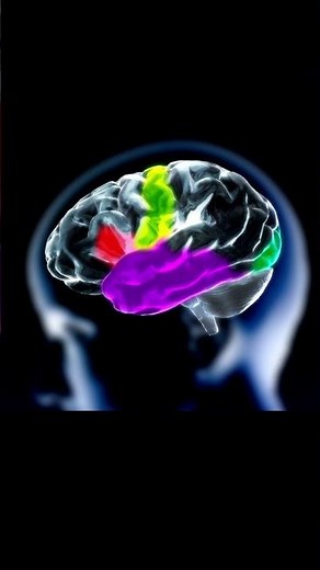 Brain Shut Down in Paralysis: Animated Explanation!