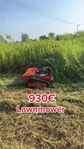 Remote Control Lawn Mower: Need One for Your Garden?