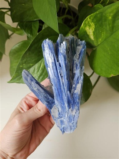 Quality Blue Kyanite and Quartz Cluster: Raw Kyanite Crystal - Etsy