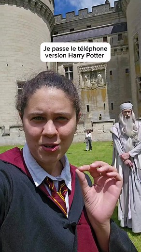 Coupe des 4 maisons : Un projet Harry Potter à découvrir