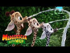 Melman's New Herd | MADAGASCAR A LITTLE WILD