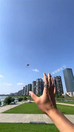 是时候展现真正的技术了 #回旋飞手# 蜜袋鼯小飞鼠
