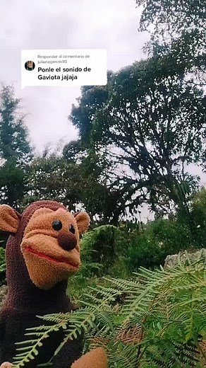 Paco Colombiano: Responder a @julianagarces93