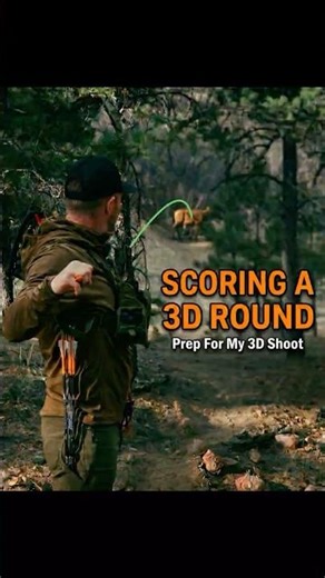 Journey to becoming a better 3D archer 🎯 #archery #archerylife #archerypractice #archeryjourney