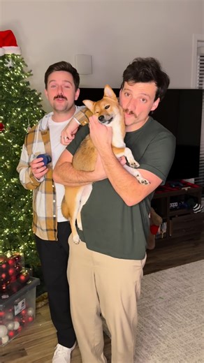 Kelvin Adler on Instagram: "PetlabCo. ProBright Advanced is backed by 2 clinical studies to help clean teeth, tackle tartar, and freshen breath. We’ve been trying it for a couple weeks and definitely noticed a significant improvement in our baby’s breath. Start taking care of your dog’s dental heath today with the link in our bio and save up to 40% on their products. @thepetlabco #fyp #ad #petlabco"