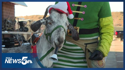 Goat bell ringer helps Salvation Army spread holiday cheer in Pueblo
