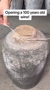 Fresh Memes on Reels