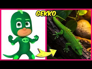 Pj Masks Characters As Pets + Voice quiz + Real one Quiz + Their Favorites! | Catboy, Owlette, Gekko