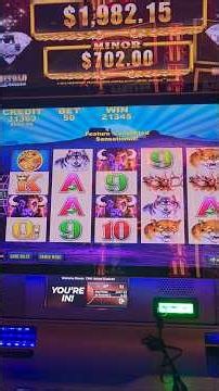 OG BUFFALO FROM DIAMOND EDITION MULTIGAME CAB. MASSIVE HIT ON $1 BET. 2C DENOM