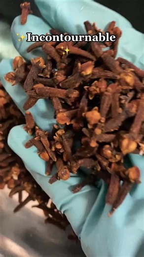 Les bienfaits insoupçonnés du clou de girofle