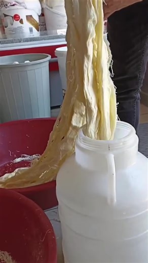 Science Explained: Popular Concepts