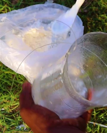 Catch Mullet Fish with a Bottle Trap and Maida Flour