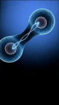 The Immortal Cell Line Mystery