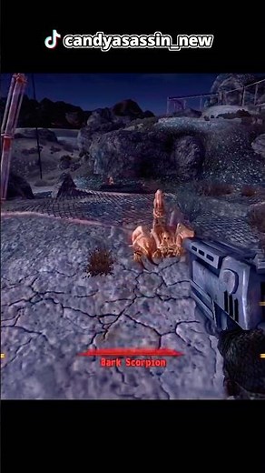 What happens in New Vegas.. 🎲🤫