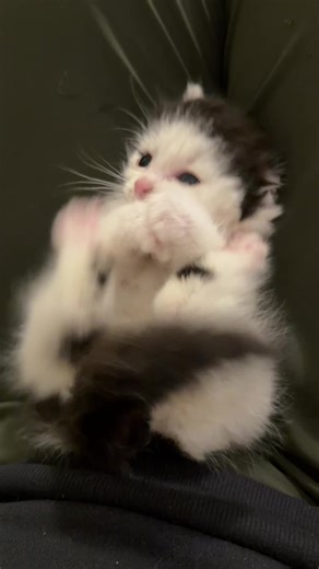 ellie giving her legs a stern talking to for not working right 😂