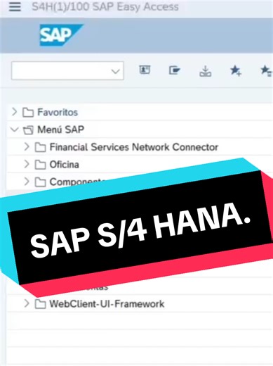 SAP S/4 HANA - Módulo de compras. Navegación Inicial. 💻 Curso completo;