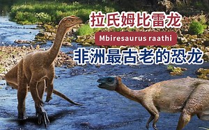 非洲已知最古老的恐龙拉氏姆比雷龙Mbiresaurus raathi 让恐龙在古代地球上的扩散情况更清晰 蜥脚类物种