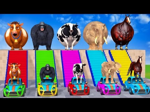 CRAZY 3D Animals Race Down Giant Water Slide! 🤣🦁🐘"