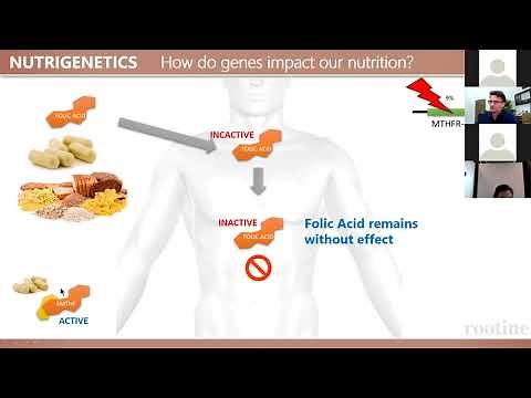 Understanding MTHFR and Folic Acid