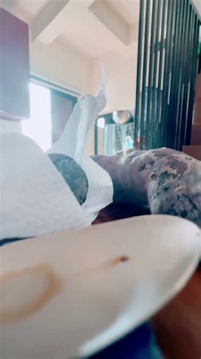 Spider’s POV Episode 1