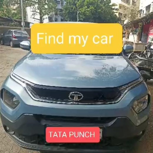 TATA PUNCH Remote function
