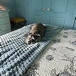 NEWCOSPLAY Super Soft Twin Blanket Taupe Premium Silky Flannel Fleece 3D Ribbed Jacquard Lightweight Bed Blanket All Season Use (Taupe Ribbed, Twin(60"x80"))