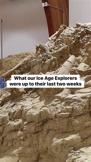 2.1K views · 53 reactions | Two final weeks of Ice Age Explorers in one video. Here's what they were up to! | The Mammoth Site of Hot Springs, South Dakota | Facebook