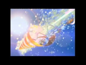 Opening to Thomas & Friends: Happy Little Helpers UK DVD (2003)