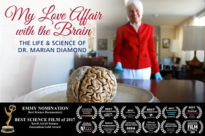 My Love Affair with the Brain (v18.37)