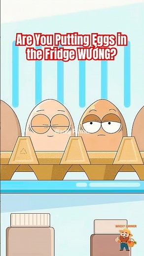 Are You Putting Eggs in the Fridge WRONG?! #lifehacks #animation #shorts