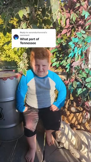 Discovering Bobo's Hometown in Greeneville, East Tennessee