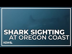 Man comes face to face with great white shark off Oregon Coast