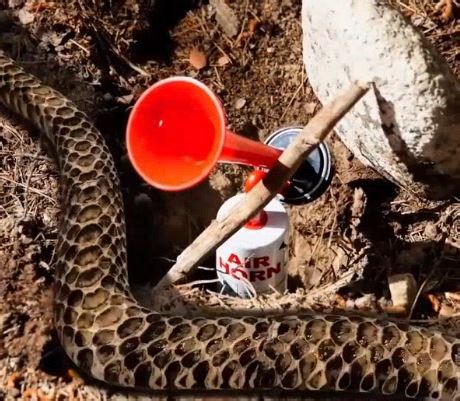 18M views · 30K reactions | Stay wild, сamp smart! Must-know hacks for the outdoors! | 5-Minute Crafts | Facebook