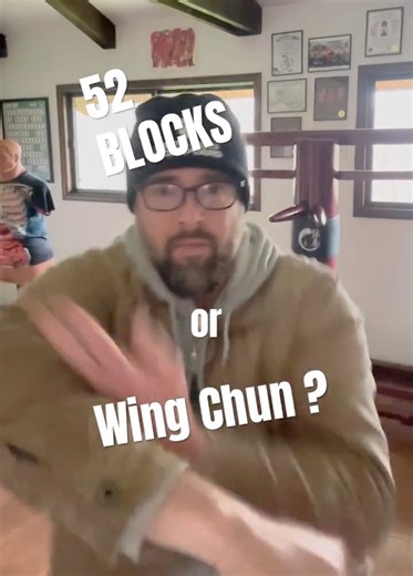 Wing Chun & 52 Blocks similarities ! 💥