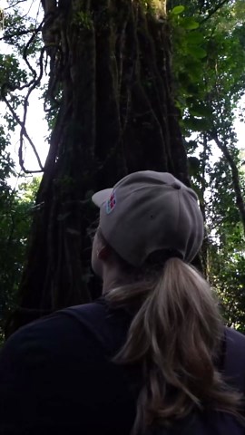 Adventure awaits: Gorilla trekking in Uganda’s pristine Bwindi Forest