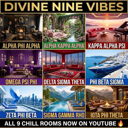 Divine Nine Vibes are LIVE!