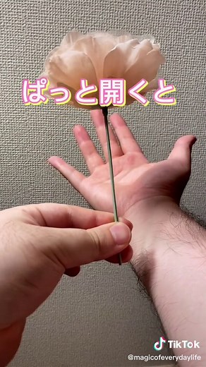 ルパン三世風のマジック動画